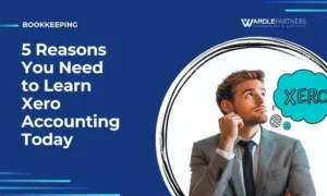 learn xero accounting