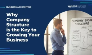 company business structure